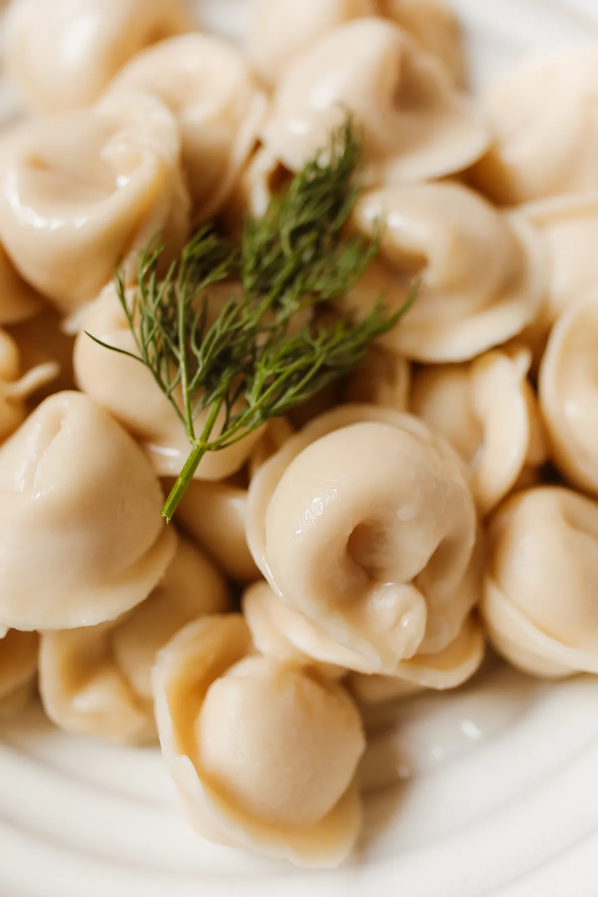 Chicken Pelmeni