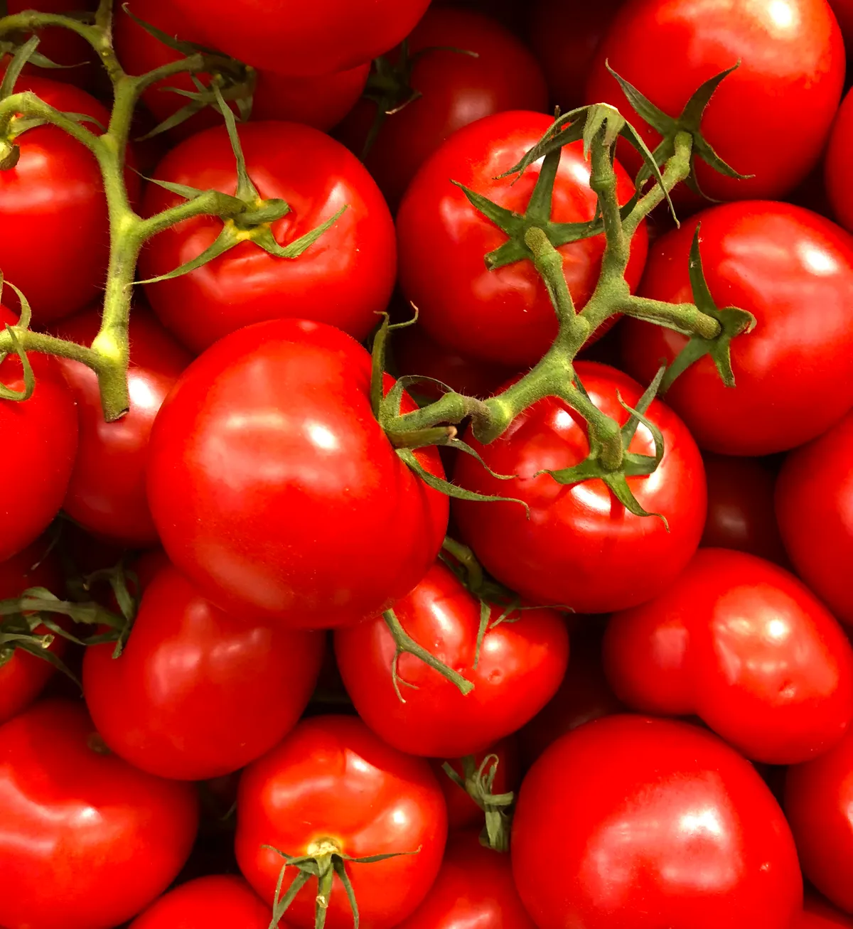 Produce department